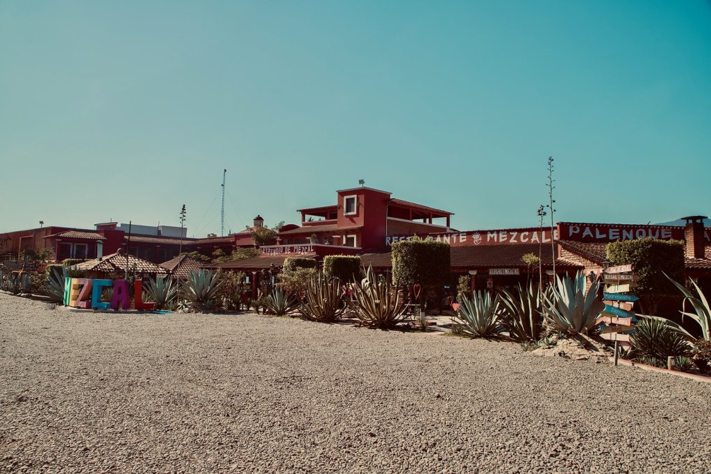 Palenque de mezcal Mal de Amores