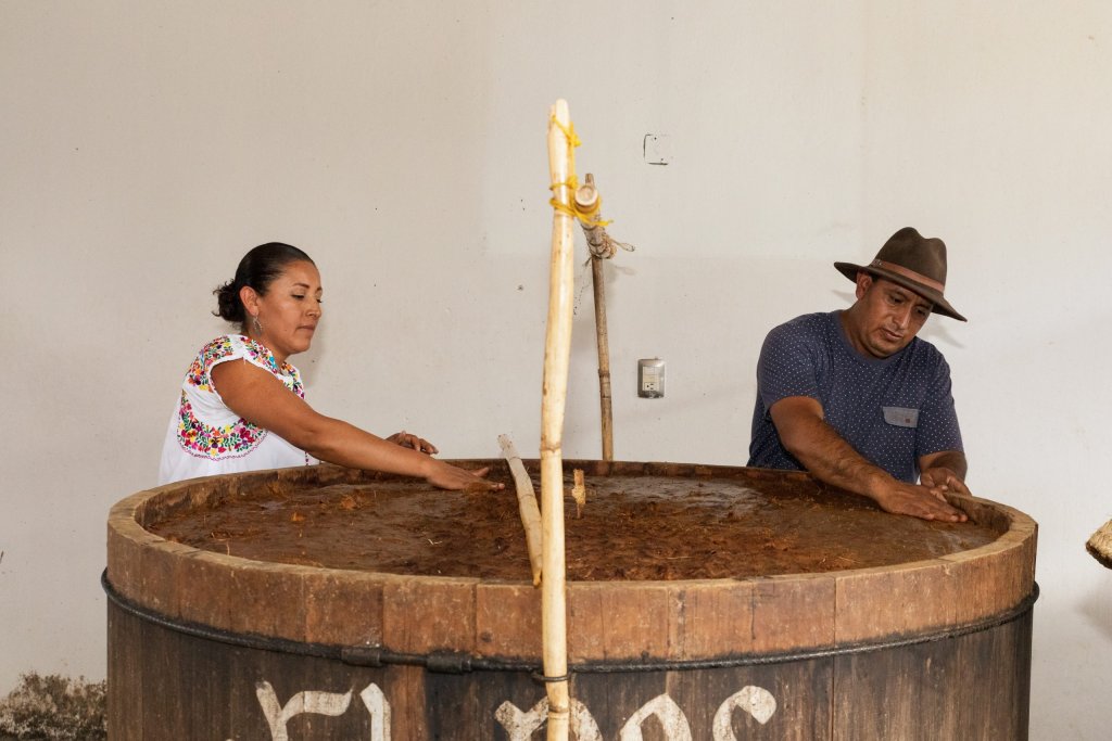Palenque de mezcal Oaxaca