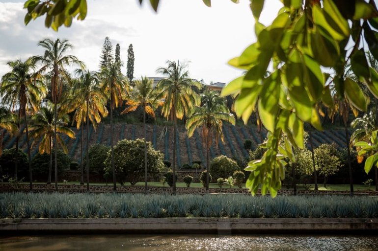 Ruta del Tequila.