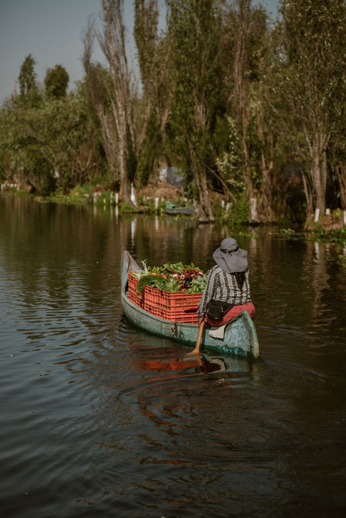 Las chinampas son construidas sobre lagos de poca profundidad.